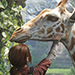 Imagen the last of us